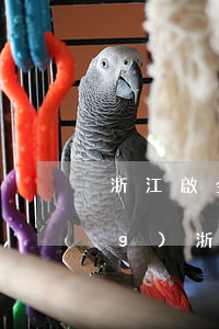 浙江啟金律師事務(wù)所官網(wǎng)(浙江金道律師事務(wù)所官網(wǎng))