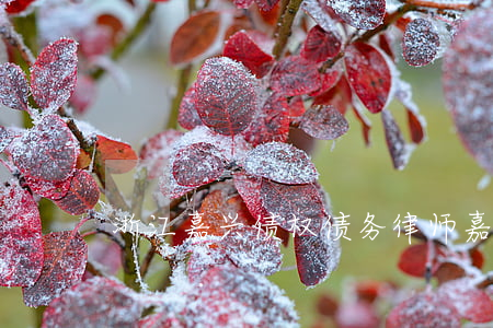 浙江嘉兴债权债务律师(嘉兴债务公司)