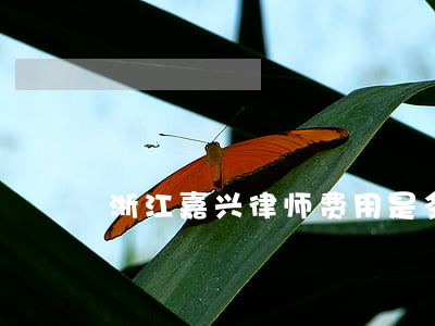 浙江嘉兴律师费用是多少