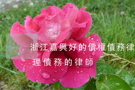 浙江嘉興好的債權債務律師哪個好-嘉興處理債務的律師