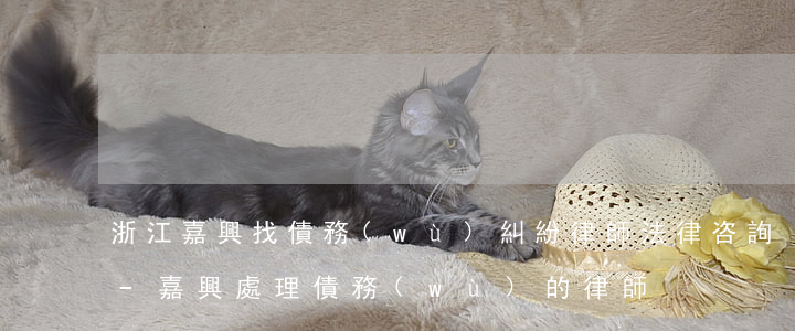 浙江嘉興找債務(wù)糾紛律師法律咨詢-嘉興處理債務(wù)的律師