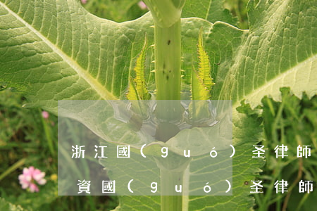 浙江國(guó)圣律師事務(wù)所工資(國(guó)圣律師事務(wù)所怎么樣)