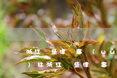 浙江國圣律師事務(wù)所程學(xué)林(浙江國圣律師事務(wù)所程學(xué)林)