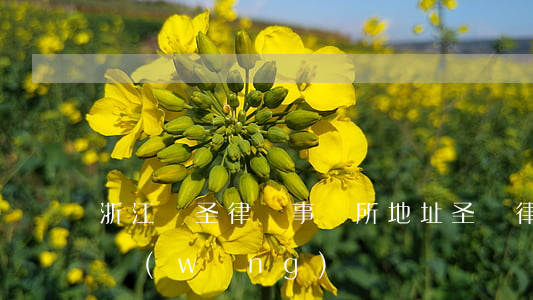 浙江國圣律師事務所地址(圣義律師事務所官網(wǎng))