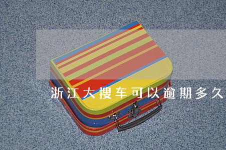 浙江大搜车可以逾期多久会被起诉
