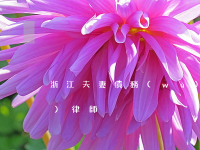 浙江夫妻債務(wù)律師(婚姻債務(wù)律師)