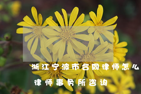 浙江宁波市合同律师怎么委托(宁波市鄞州区律师事务所咨询)