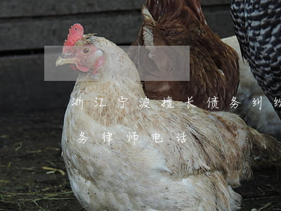 浙江宁波擅长债务纠纷律师哪家强-宁波债务律师电话