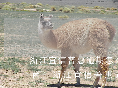 浙江宜信普惠逾期怎么跟銀行協(xié)商-浙江宜信普惠逾期怎么跟銀行協(xié)商還款