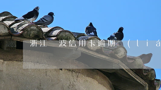 浙江寧波信用卡逾期聯(lián)系方式