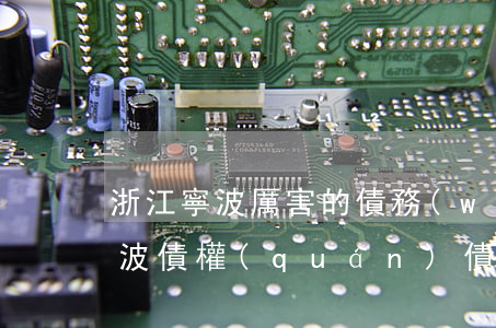 浙江寧波厲害的債務(wù)糾紛律師費(寧波債權(quán)債務(wù)律師)