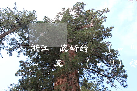 浙江寧波好的債務(wù)糾紛律師哪個好-寧波債務(wù)律師電話