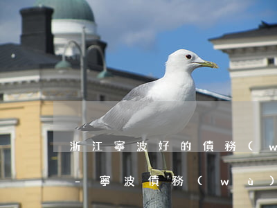 浙江寧波好的債務(wù)糾紛律師多少錢-寧波債務(wù)律師電話