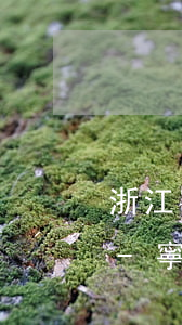浙江寧波擅長債務(wù)糾紛律師有哪些-寧波債務(wù)律師電話