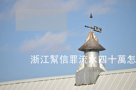 浙江幫信罪流水四十萬怎么判