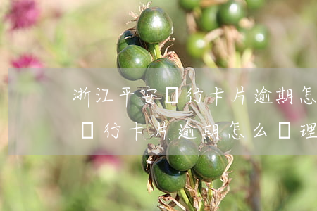 浙江平安銀行卡片逾期怎么處理-浙江平安銀行卡片逾期怎么處理的