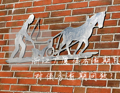 浙江广厦债务逾期怎么处理，浙江广厦：如何应对债务逾期问题？