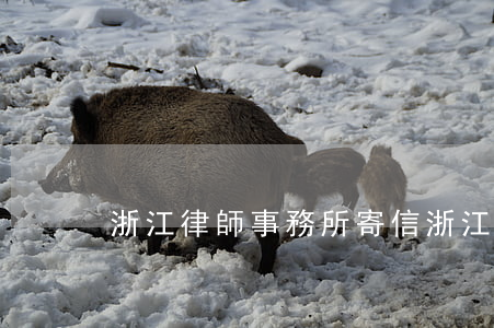 浙江律師事務所寄信(浙江法務送律師函)