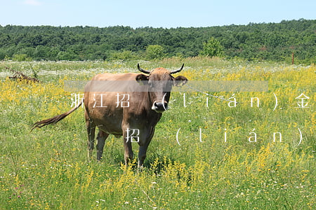 浙江招聯(lián)金融逾期還不上會起訴嗎 招聯(lián)金融逾期一萬多一年多了會被起訴嗎