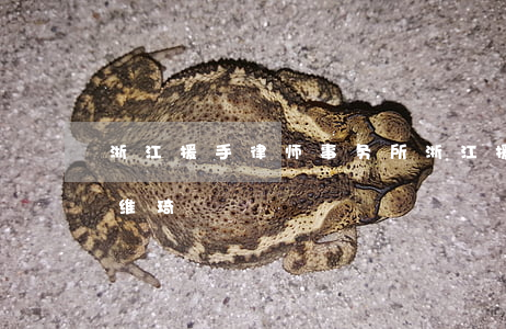 浙江援手律师事务所(浙江援手律师事务所孟维琦)