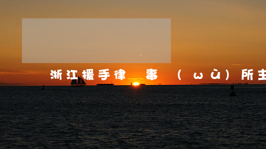 浙江援手律師事務(wù)所主任