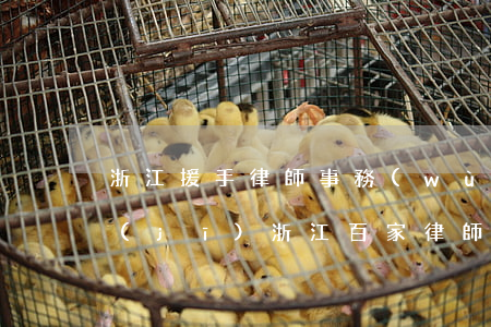 浙江援手律師事務(wù)所業(yè)績(jī)(浙江百家律師事務(wù)所)