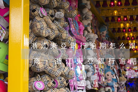 浙江東亞銀行逾期怎么跟銀行協(xié)商-浙江東亞銀行逾期怎么跟銀行協(xié)商還款