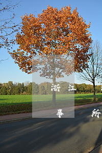 浙江樂清律師事務所法律援助(溫州樂清律師事務所免費咨詢)
