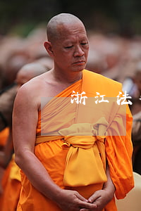 浙江法律網(wǎng)
