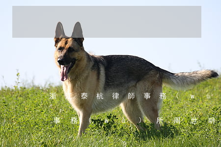 浙江泰杭律師事務(wù)所(浙江泰杭律師事務(wù)所周世明)