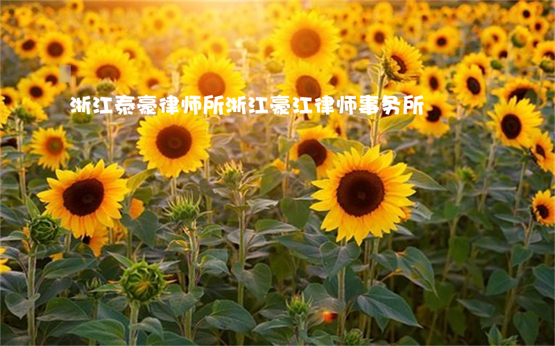 浙江泰豪律师所(浙江豪江律师事务所)