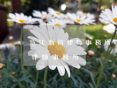 浙江浙杭律師事務所哪個律師好(浙江最好的律師事務所)