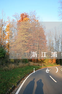 浙江浦發(fā)銀行卡片逾期如何協(xié)商-