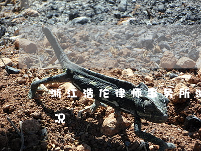 浙江浩伦律师事务所(浙江浩伦律师事务所 概况)