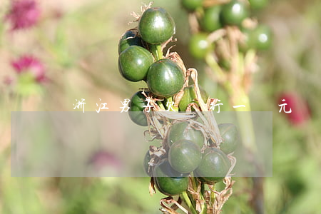 浙江男子欠銀行一萬元