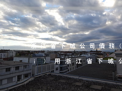 浙江省下城公司債務(wù)律師費(fèi)用(浙江省下城公司債務(wù)律師費(fèi)用)