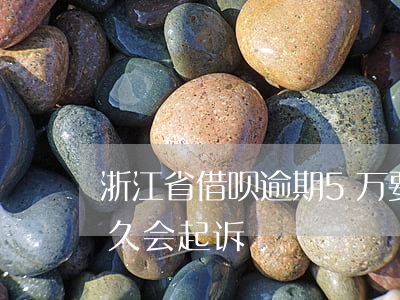 浙江省借呗逾期5万要多久(借呗逾期4w多久会起诉)