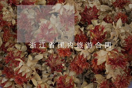 浙江省国内旅游合同