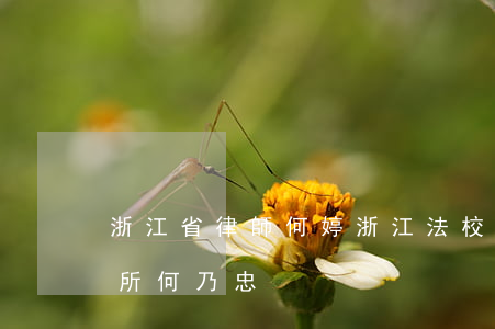 浙江省律師何婷(浙江法校律師事務(wù)所何乃忠)