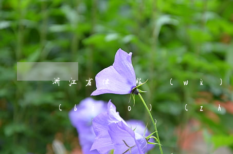 浙江省律師服務(wù)收費(fèi)標(biāo)準(zhǔn)