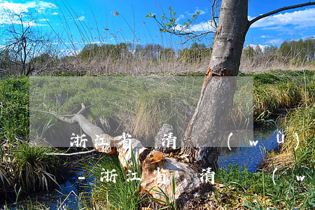浙江省樂清債務(wù)訴訟律師咨詢熱線-浙江省樂清債務(wù)訴訟律師咨詢熱線電話