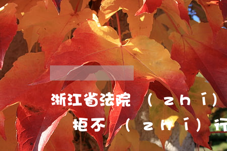 浙江省法院執(zhí)行逾期利息(法院判決拒不執(zhí)行逾期利息)