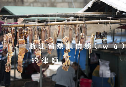 浙江省泰順債務(wù)案律師(泰順最有名的律師)