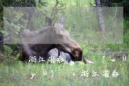 浙江省泰順縣債務(wù)案辦理律師預(yù)約-浙江省泰順縣債務(wù)案辦理律師預(yù)約電話