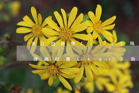 浙江省物價(jià)局關(guān)于律師收費(fèi)(浙江省律師費(fèi)收費(fèi)標(biāo)準(zhǔn)速算表)