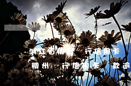 浙江省稠州銀行信用卡還款逾期了-浙江省稠州銀行信用卡還款逾期了怎么辦