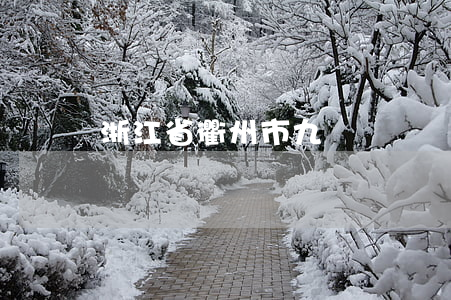 浙江省衢州市九級傷殘賠償標準
