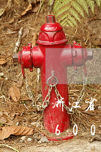 浙江省詐騙罪入刑起點(diǎn)金額為6000元
