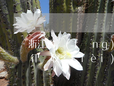 浙江省風(fēng)險(xiǎn)代理律師收費(fèi)標(biāo)準(zhǔn)(浙江律師費(fèi)用收取標(biāo)準(zhǔn))