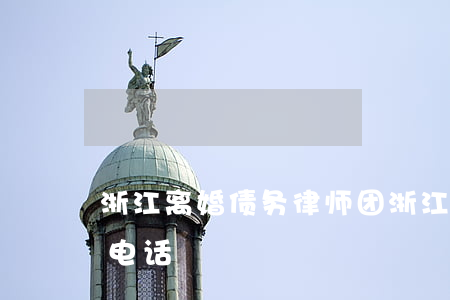 浙江离婚债务律师团(浙江离婚债务律师团队电话)